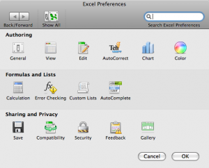 Microsoft Excel Preferences Pane